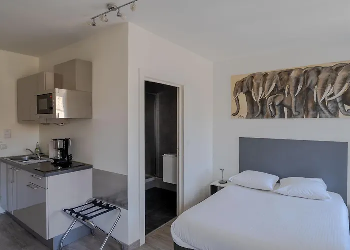 La De L'orangerie Apartment Straßburg