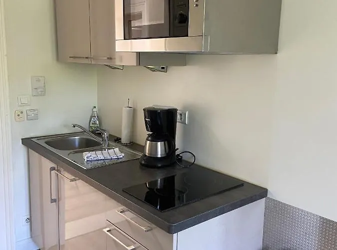 La De L'orangerie Apartment Straßburg